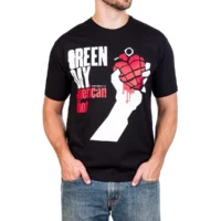 camiseta-green-day-american-idiot-138-4